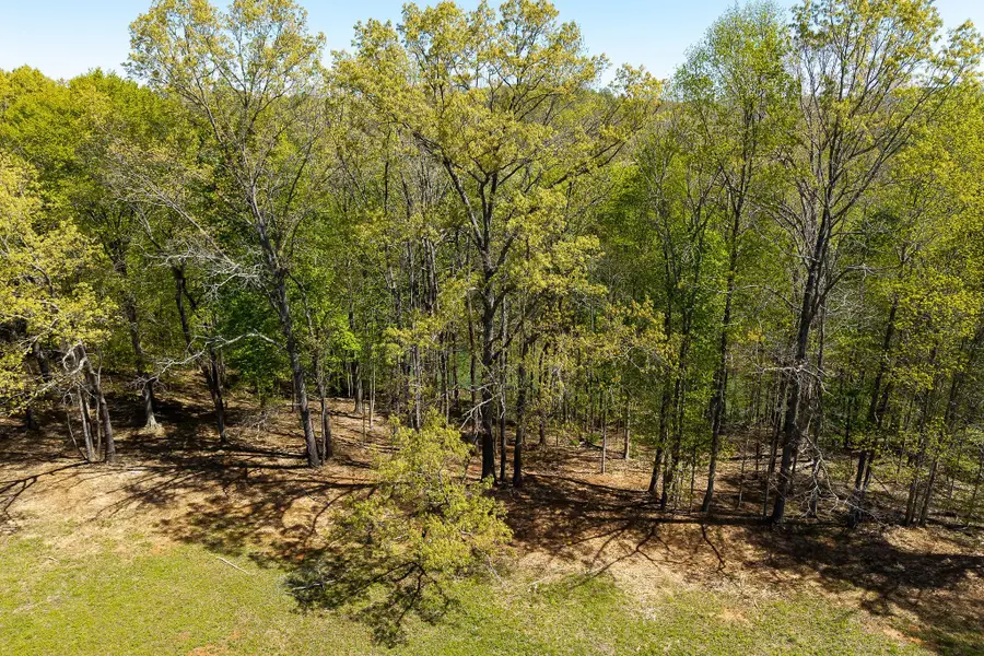 0 Goodbar Rd, Rock Island, TN 38581 - #3