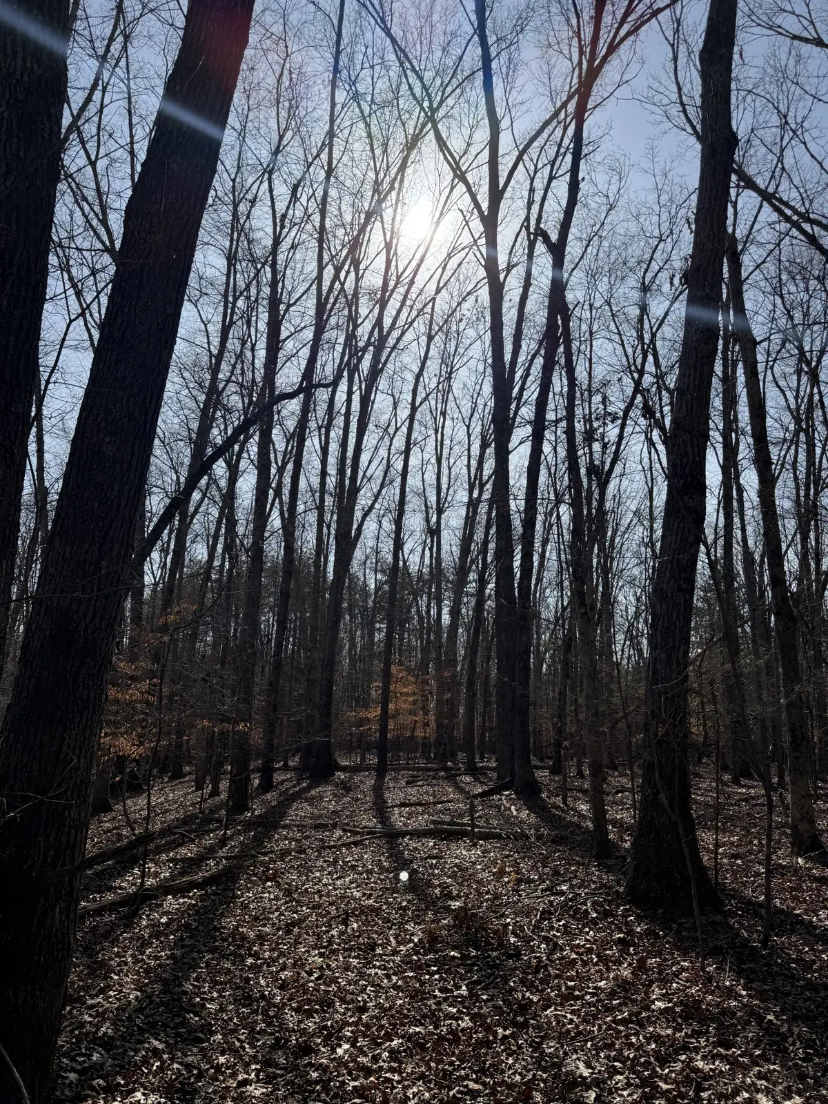 0 Step Rock Hill Rd, Cookeville, TN 38506 - #1