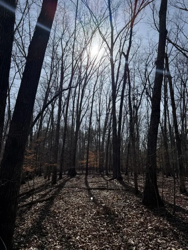 0 Step Rock Hill Rd, Cookeville, TN 38506