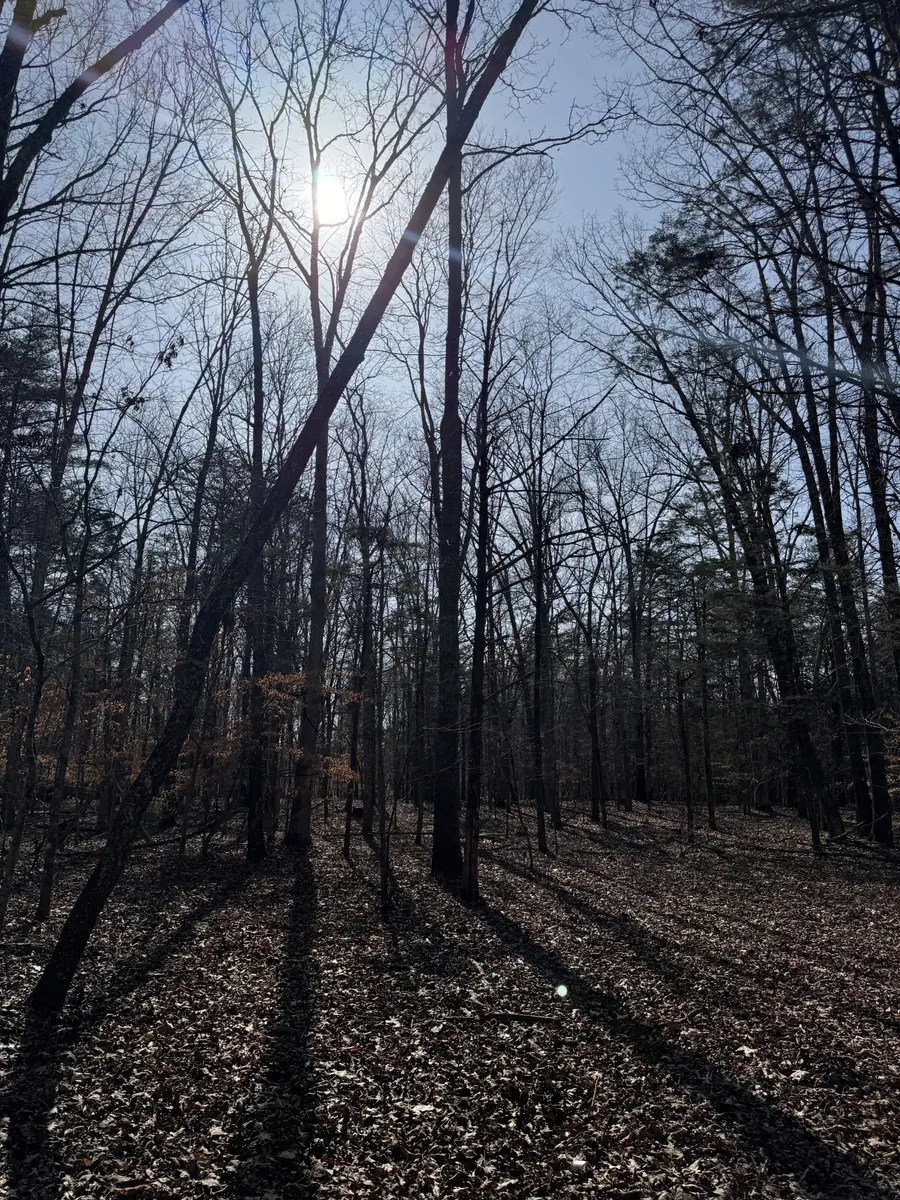 0 Step Rock Hill Rd, Cookeville, TN 38506 - #3