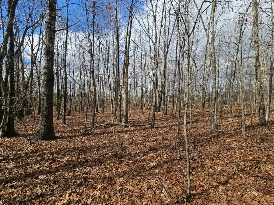 10 Griswold Road, Altamont, TN 37301 - #2