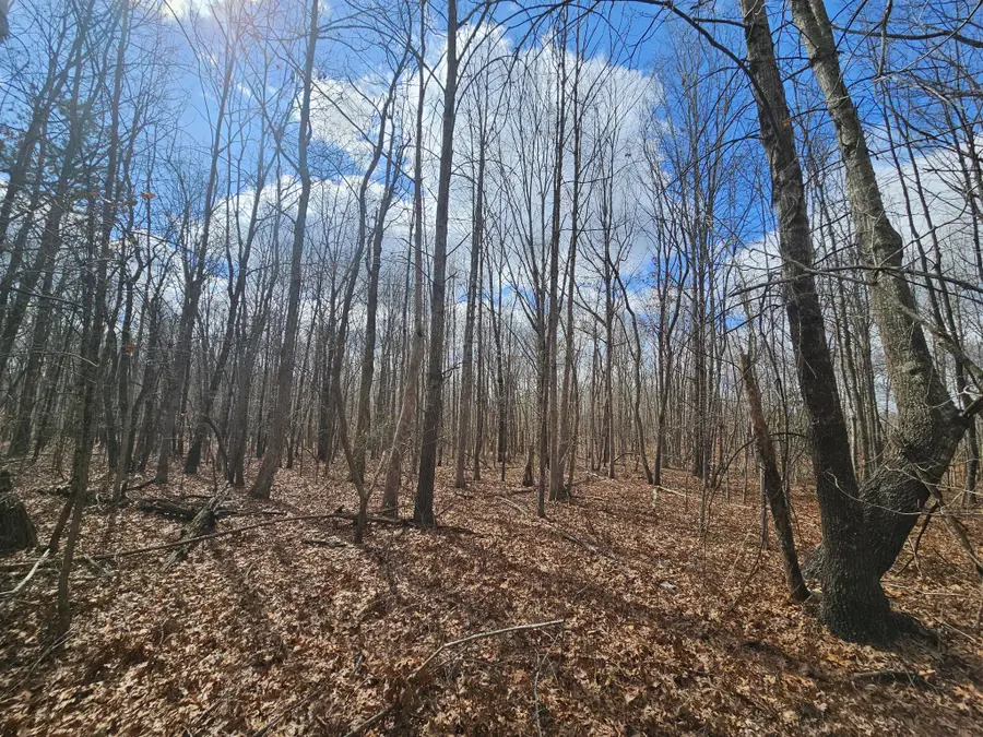 10 Griswold Road, Altamont, TN 37301 - #3