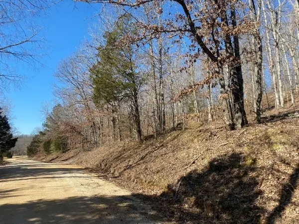 4200 Big Richland Creek Rd E, Mc Ewen, TN 37101 - #2