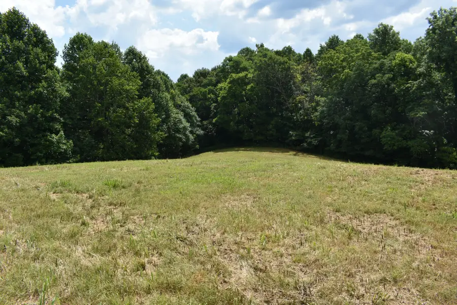 0 Nascar Ln, Pleasant Shade, TN 37145 - #2