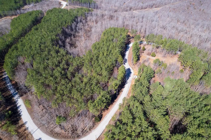 2340 Bear Hollow Drive, Waverly, TN 37185 - #3