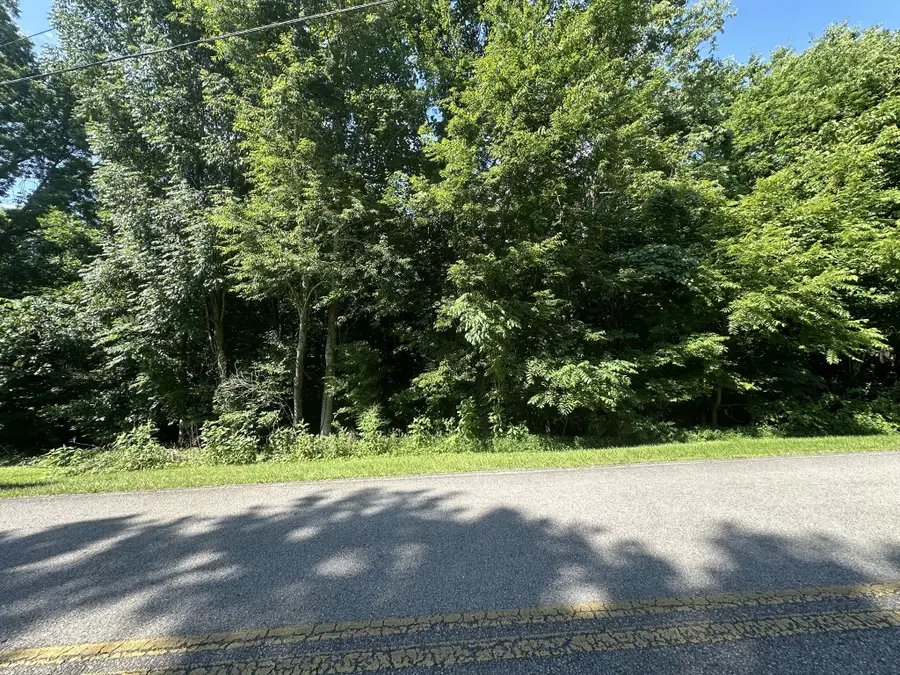 0 Reed Rd, Indian Mound, TN 37079 - #3