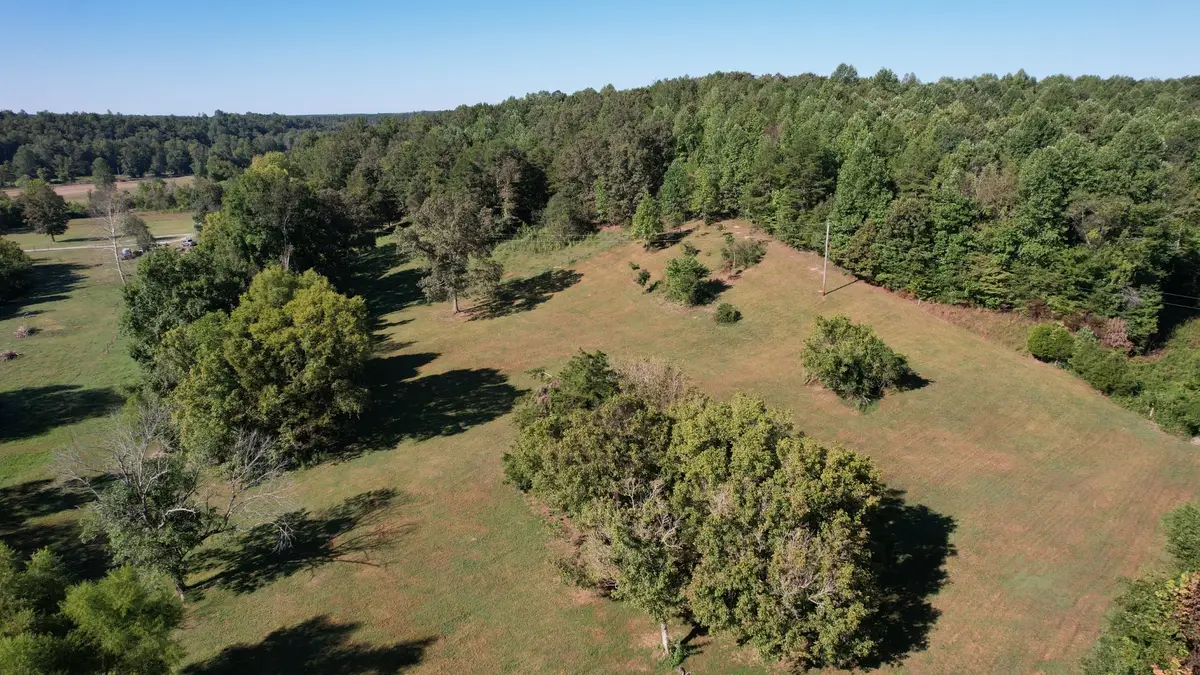 446 Grinders Creek Rd, Hohenwald, TN 38462 - #1