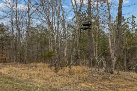 0 Mosley Ferry Rd, Ashland City, TN 37015 - #2