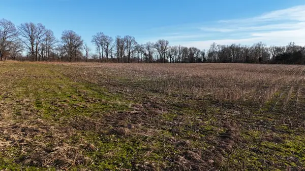 0 Highway 79, Mc Kenzie, TN 38201