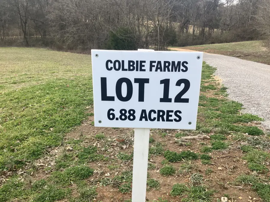 12 Booker Ridge Rd, Mount Pleasant, TN 38474 - #2