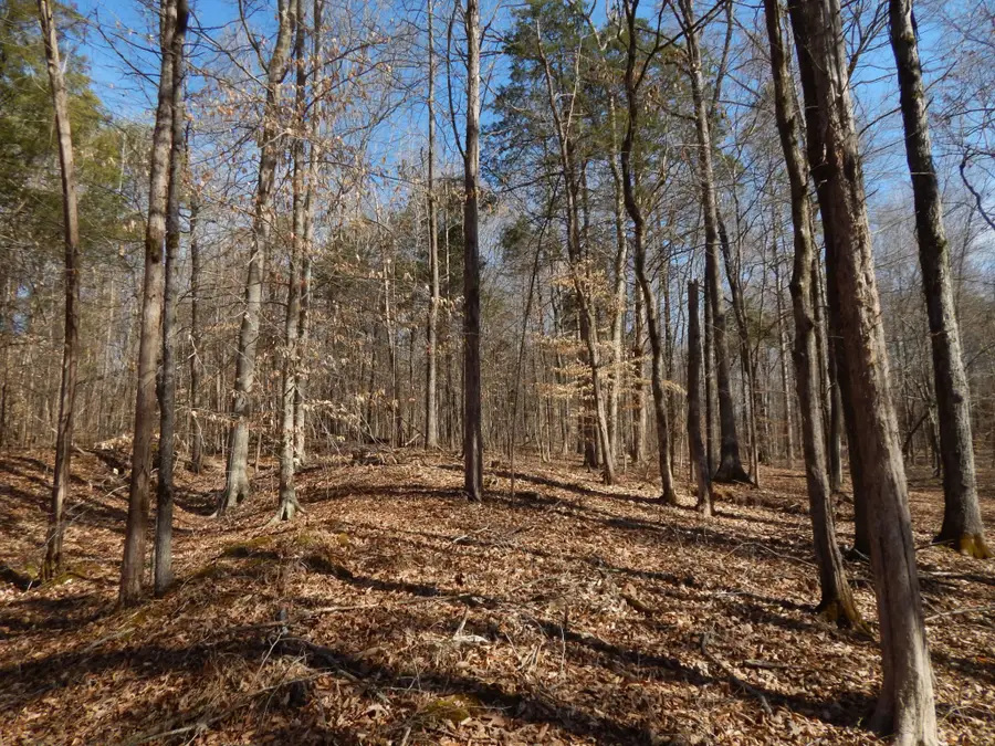 0 Ian Dr, Clifton, TN 38425 - #2