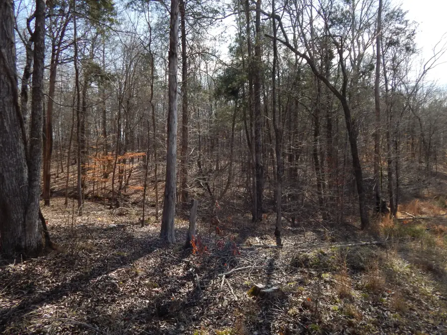 0 Ian Dr, Clifton, TN 38425 - #3