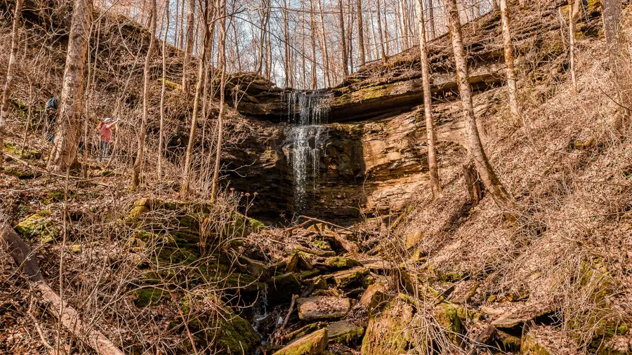 655 Burton Ridge Rd, Silver Point, TN 38582 - #3