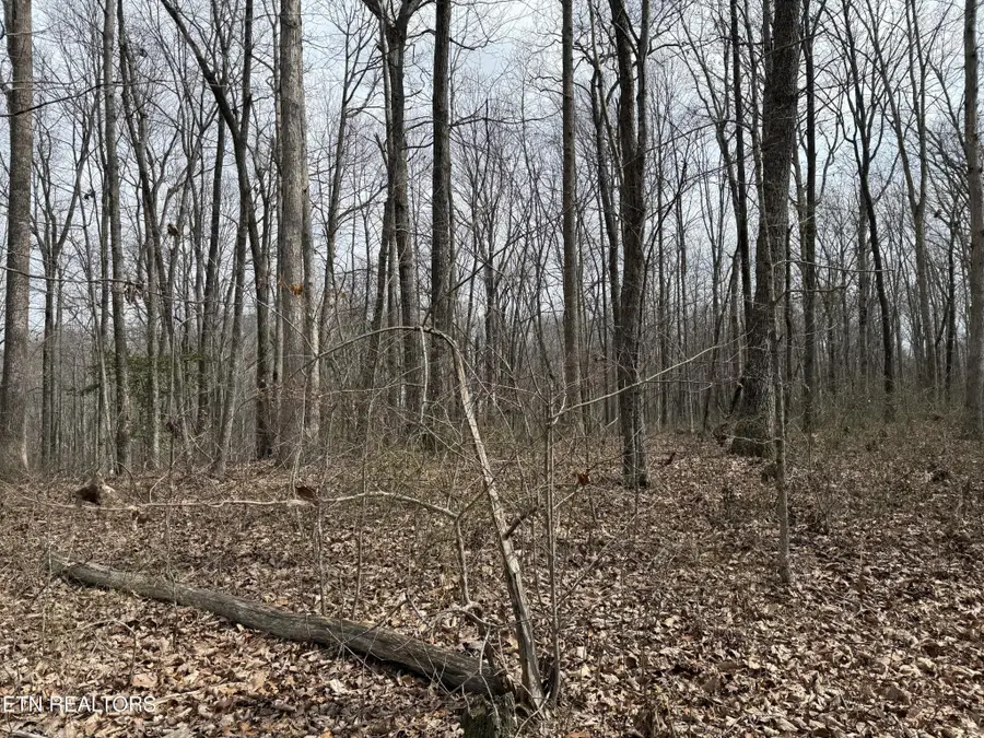 0 High Place, Monterey, TN 38574 - #3