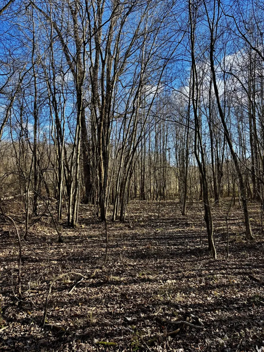 0 Wallace Road, Waverly, TN 37185 - #2