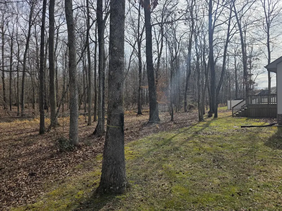 203 Woodson Dr, Tullahoma, TN 37388 - #3