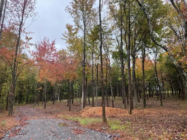 7870 Bill Moss Rd, White House, TN 37188 - #3