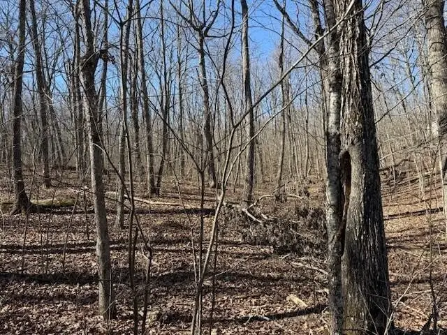 11 Shadowland Drive, Graysville, TN 37338 - #3