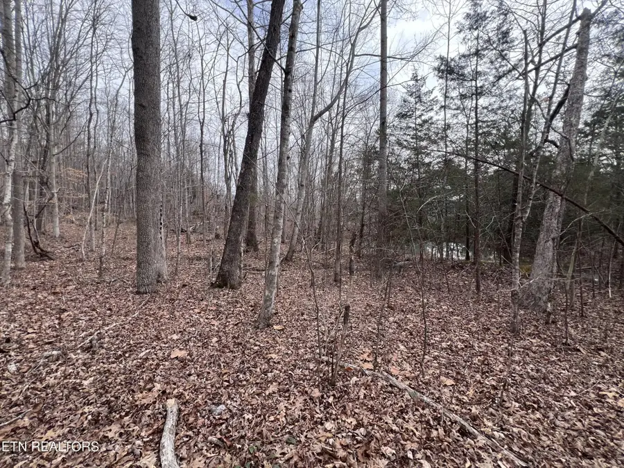 0 Buffalo Cove Lane, Jamestown, TN 38556 - #3