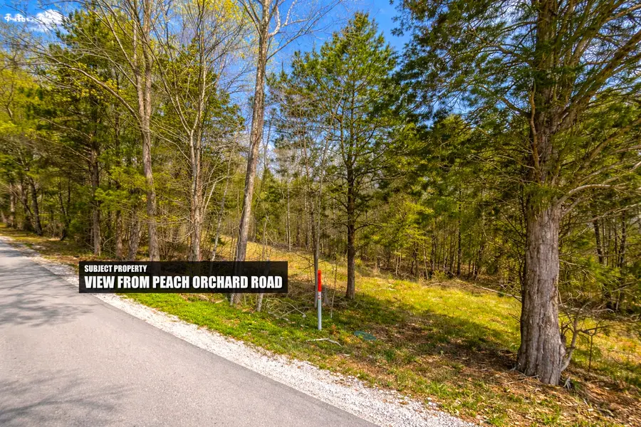 0 Peach Orchard Rd, Lewisburg, KY 42256 - #2