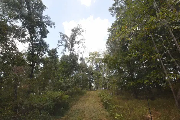 0 Honey Fork Road, Indian Mound, TN 37079