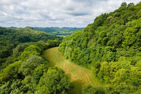 193 Dixon Ln, Pleasant Shade, TN 37145