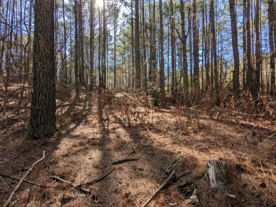 106 Winding Trail, Copperhill, TN 37317 - #3