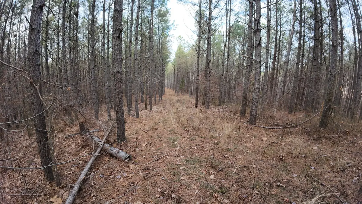 240 Brookstone Dr, Linden, TN 37096 - #1