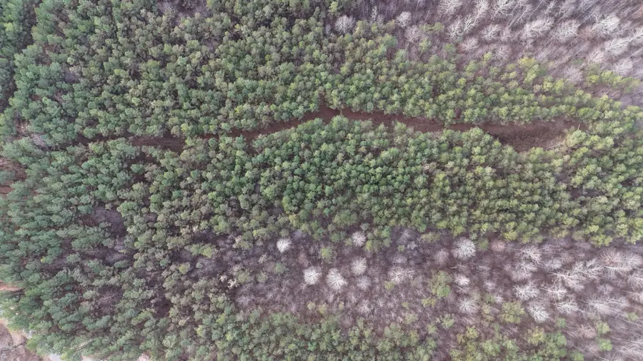 240 Brookstone Dr, Linden, TN 37096 - #2