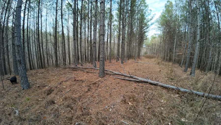 240 Brookstone Dr, Linden, TN 37096 - #3