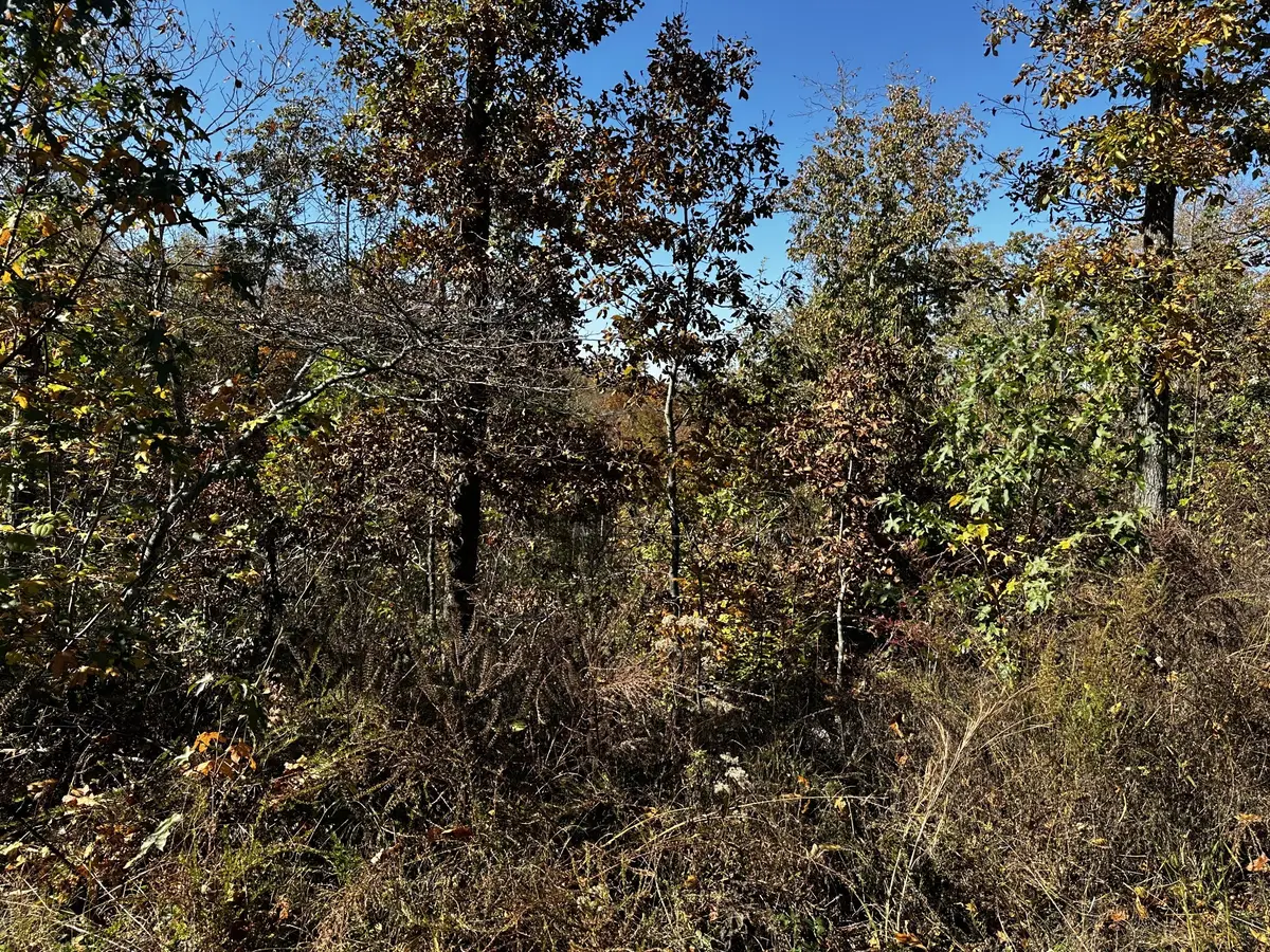 0 Ridge Top Rd, Stewart, TN 37175 - #1