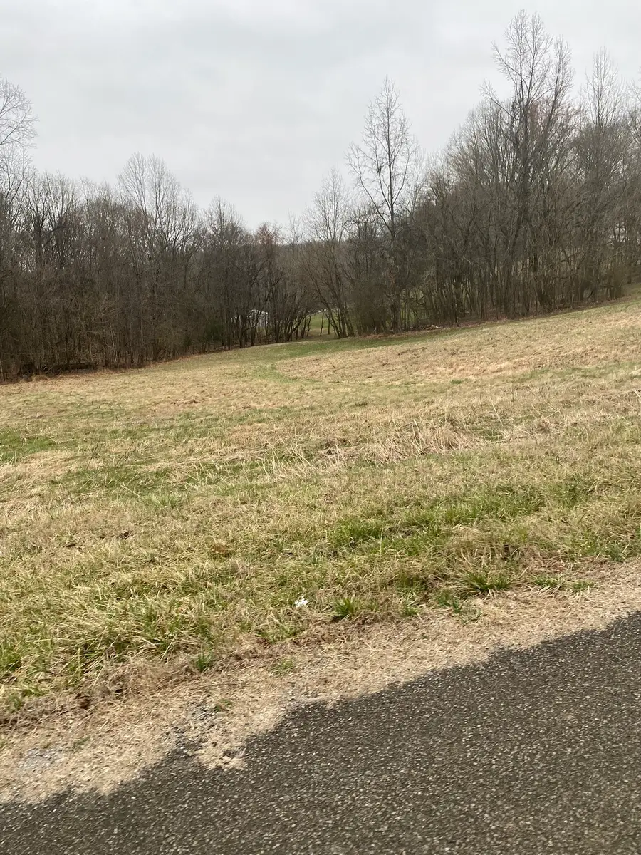 883 Scenic Circle, Pulaski, TN 38478 - #2