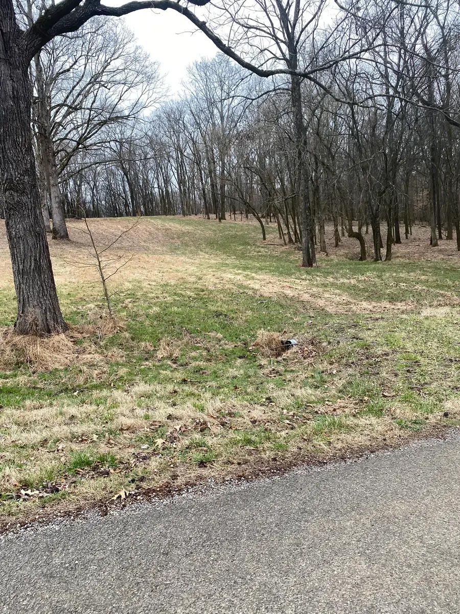 883 Scenic Circle, Pulaski, TN 38478 - #3