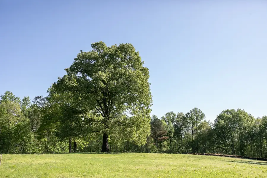 0 Pinewood Rd, Franklin, TN 37064 - #2