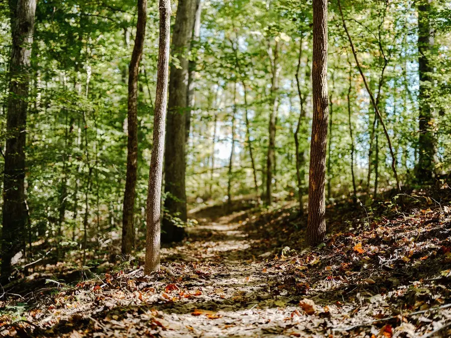 0 Pinewood Rd, Franklin, TN 37064 - #3