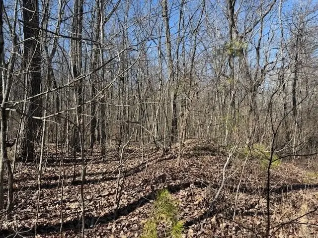 10 Shadowland Drive, Graysville, TN 37338 - #3