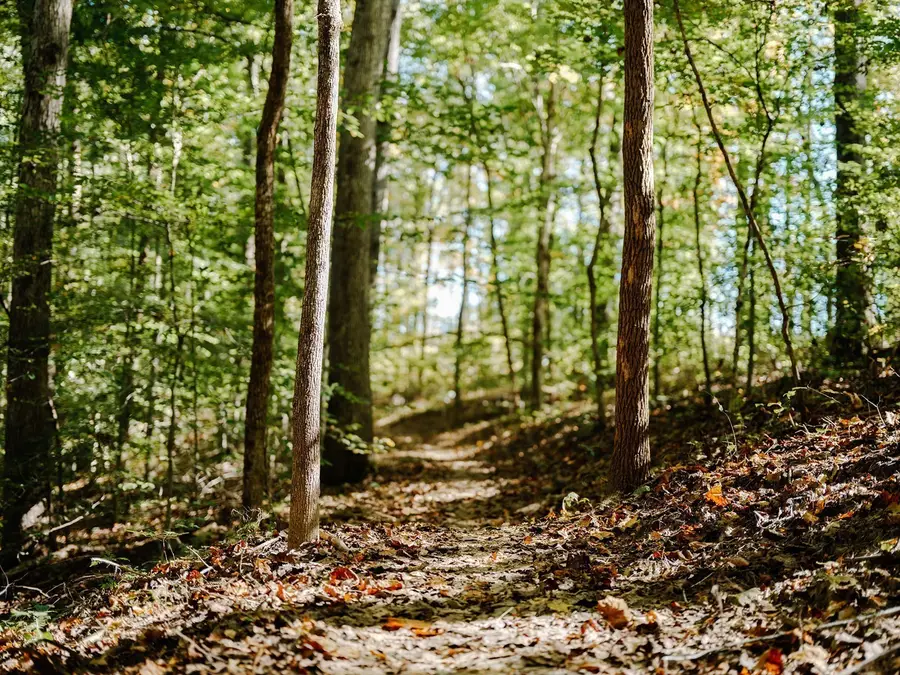 0 Pinewood Road, Franklin, TN 37064 - #3