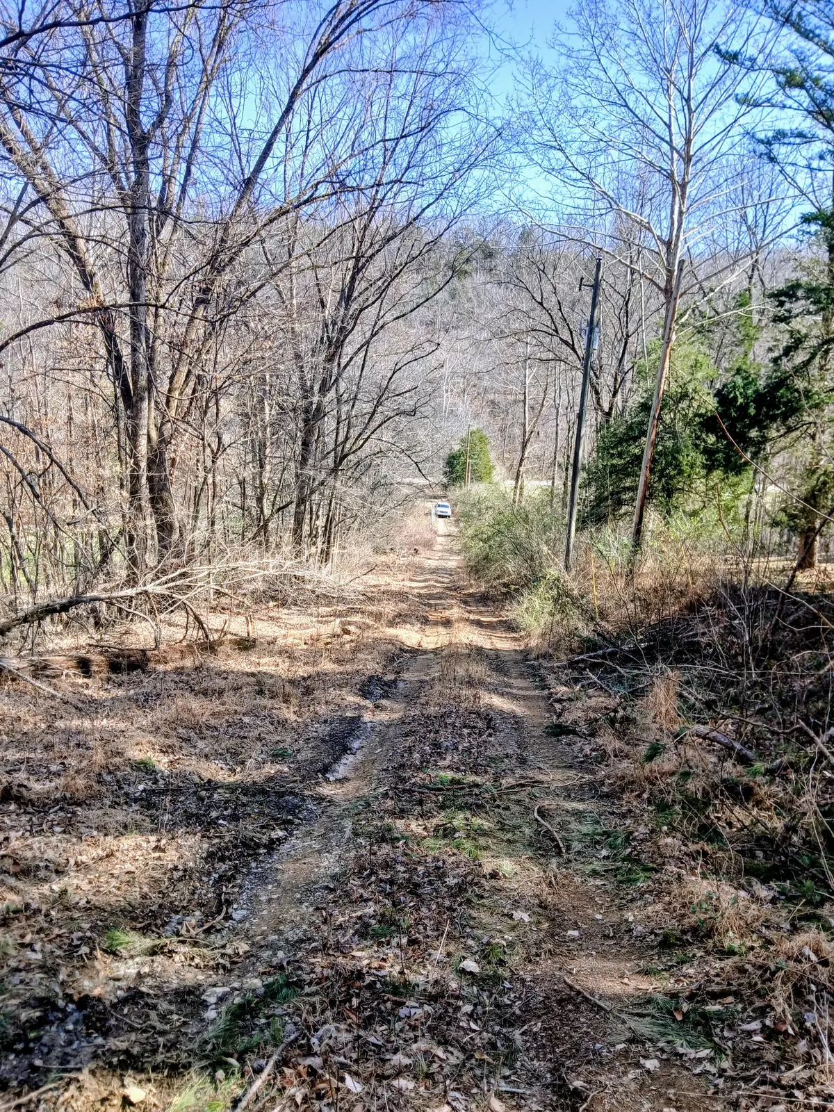 1014 Indian Springs Rd, Pegram, TN 37143 - #1