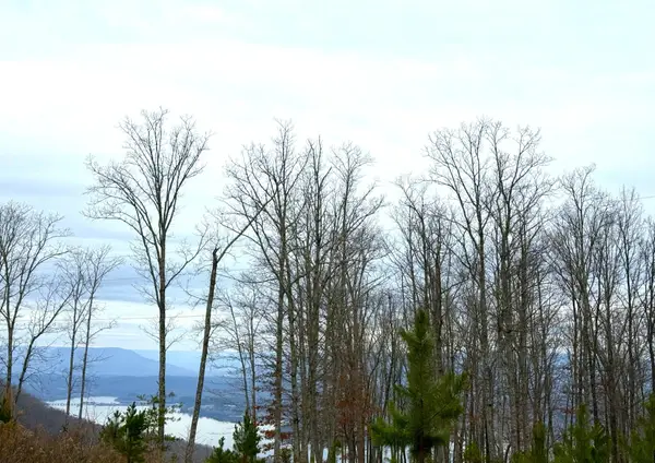 0 Wohalie Lane, South Pittsburg, TN 37380