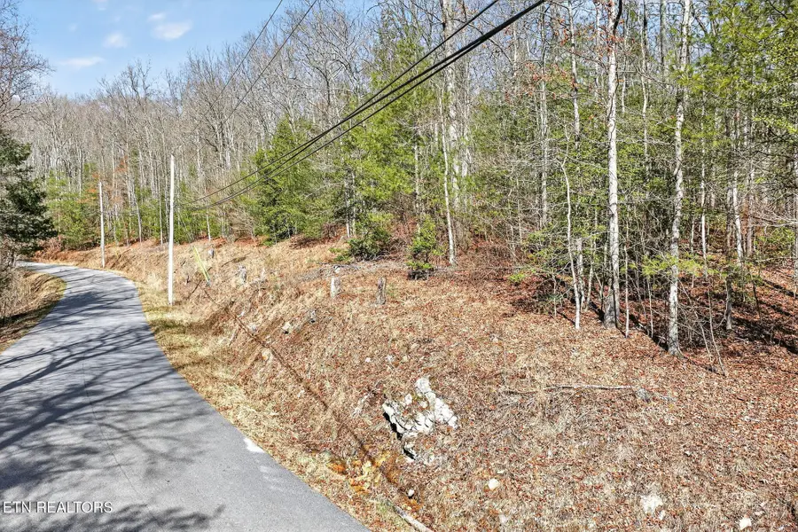 0 Dogwood Rd, Grandview, TN 37337 - #3