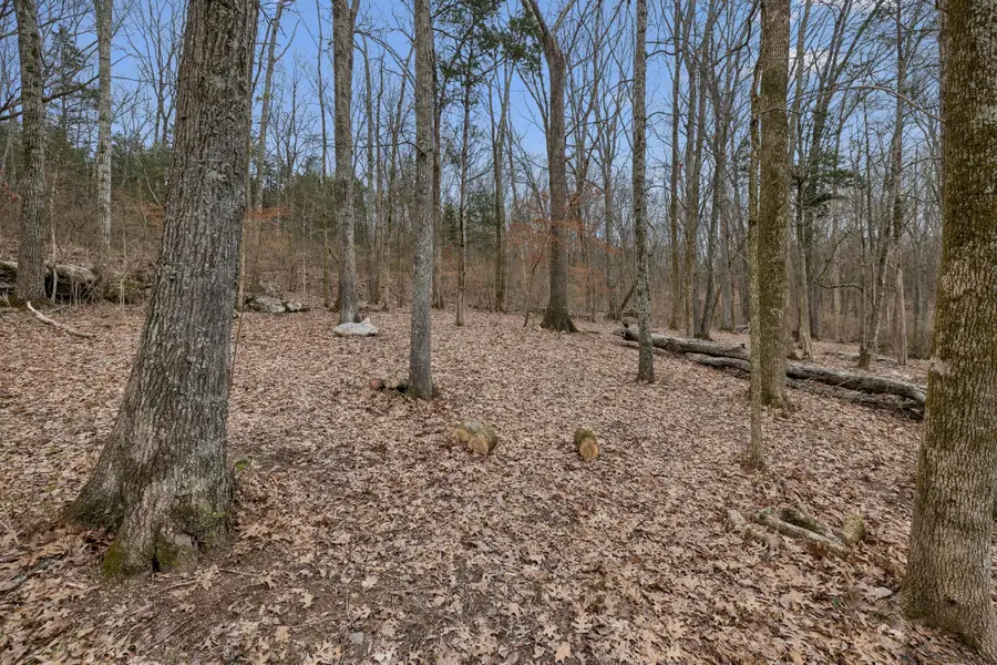 3726 Benders Ferry Rd, Mount Juliet, TN 37122 - #2