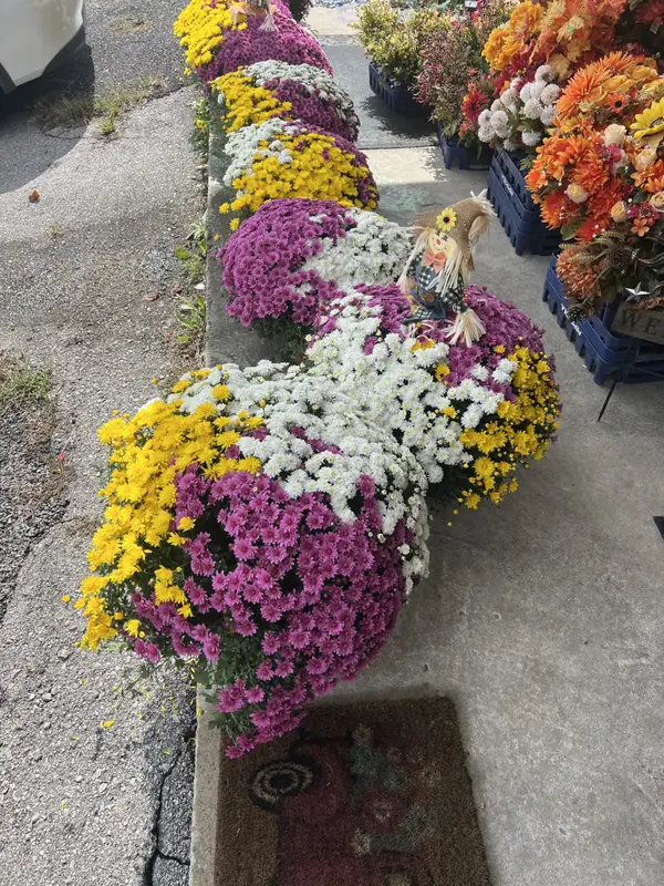 666 Brattontown Cir, Lafayette, TN 37083