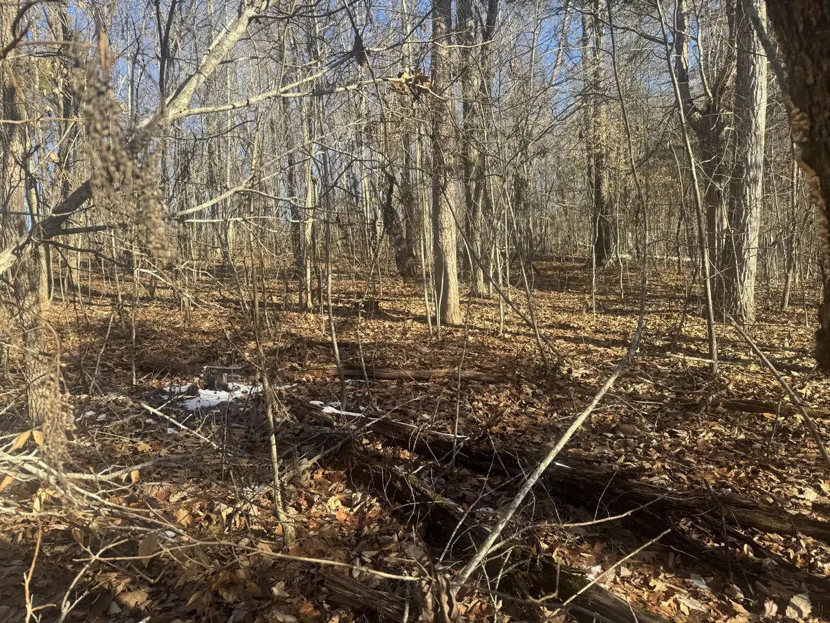 280 Chapman Road, Dunlap, TN 37327 - #1