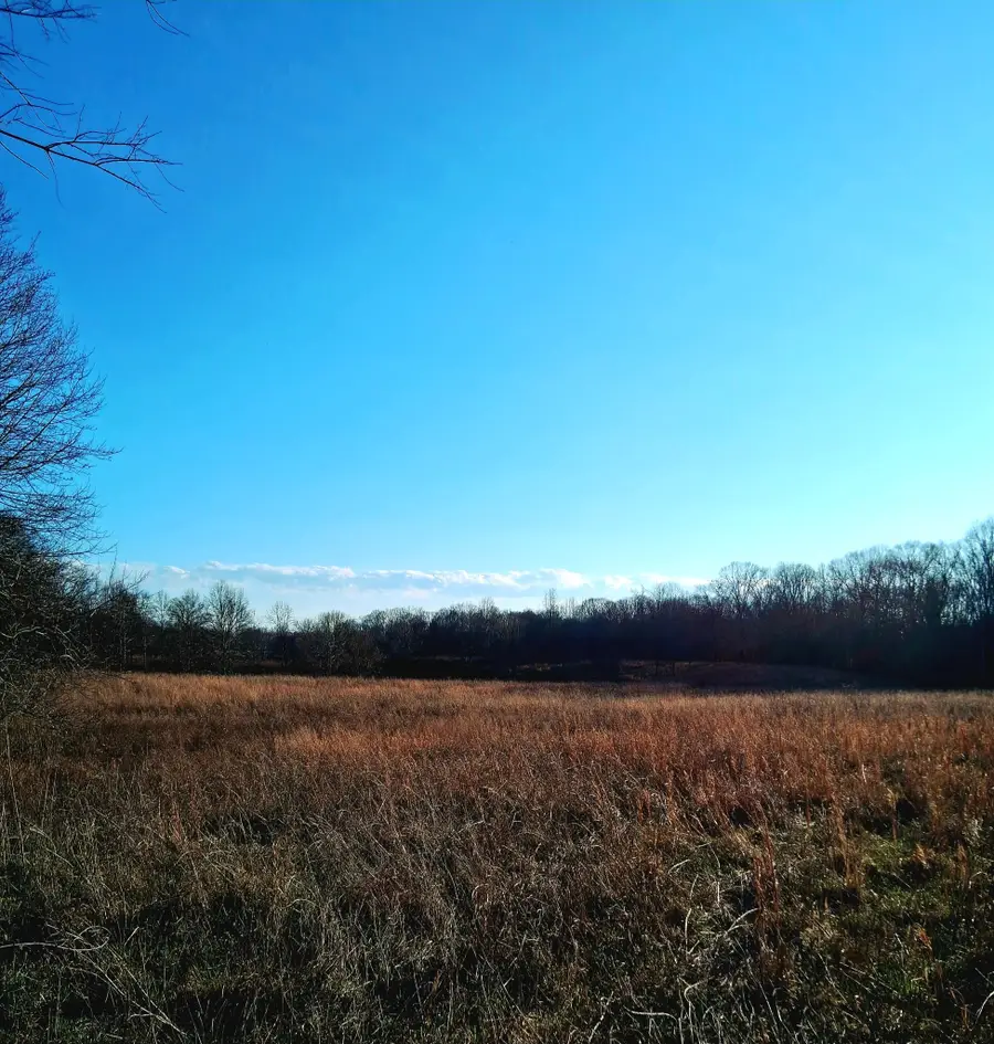 0 Burr Rd, Springfield, TN 37172 - #2