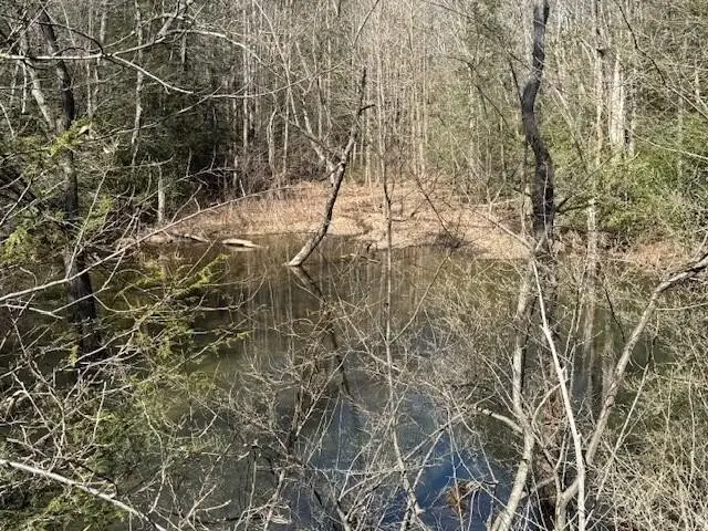 200 Red Rock Canyon Road, Graysville, TN 37338 - #1