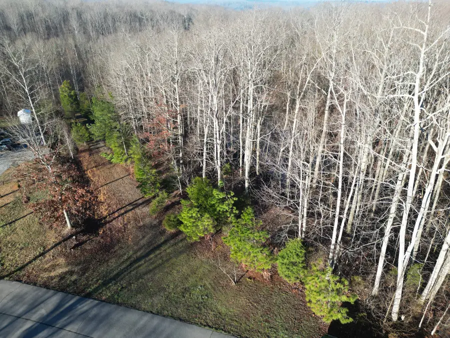 0 Red Fox Run, Nunnelly, TN 37137 - #2