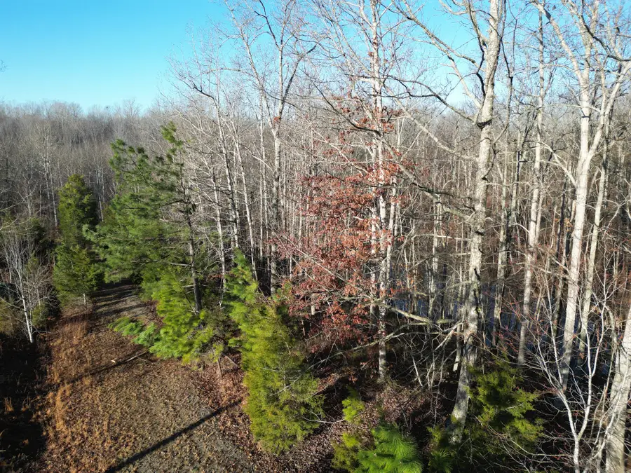 0 Red Fox Run, Nunnelly, TN 37137 - #3