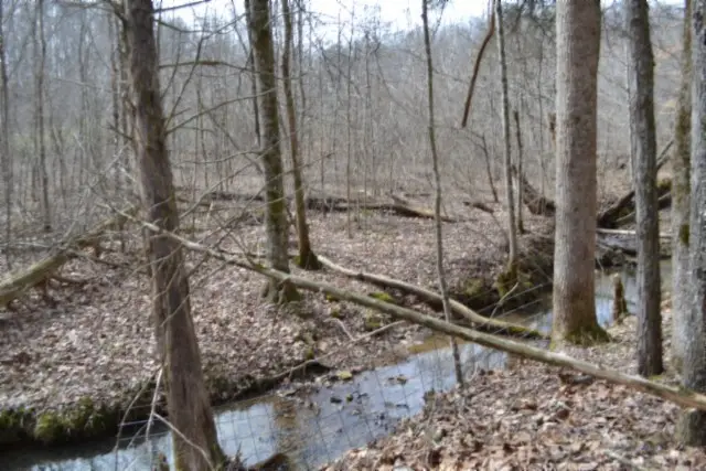 0 Boles Road, Hilham, TN 38568 - #3