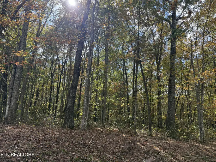 0 Picket Park Hwy, Jamestown, TN 38556 - #3