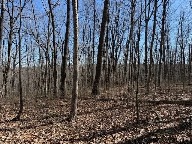 71 Sunbeam Lake Loop Road, Dunlap, TN 37327 - #3